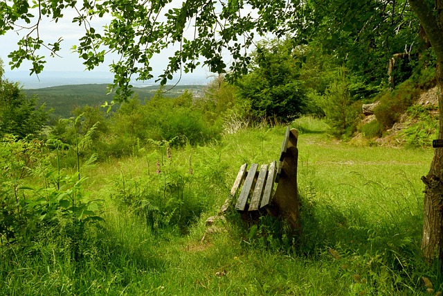 体育总局：无正当理由拒绝国家队征召的运动员等实施行业惩戒
