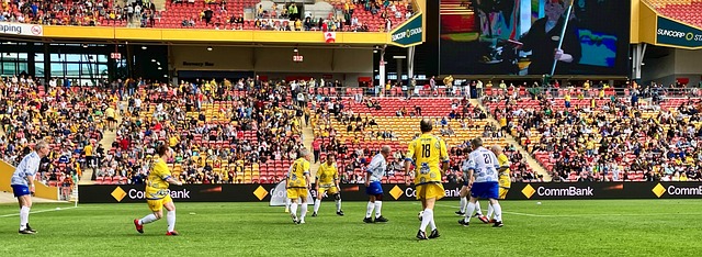 跟队：多特在与狼队谈法比奥-席尔瓦转会，预计本周将加速