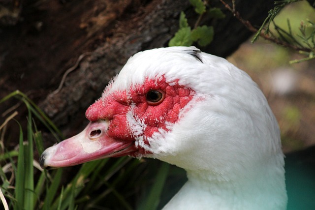 战梅州不慎自摆乌龙，马马杜：非常不走运，我会从中吸取教训