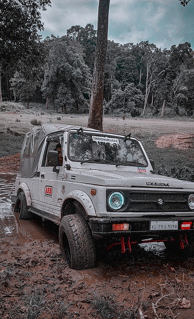 的赛季进程 的赛季进程