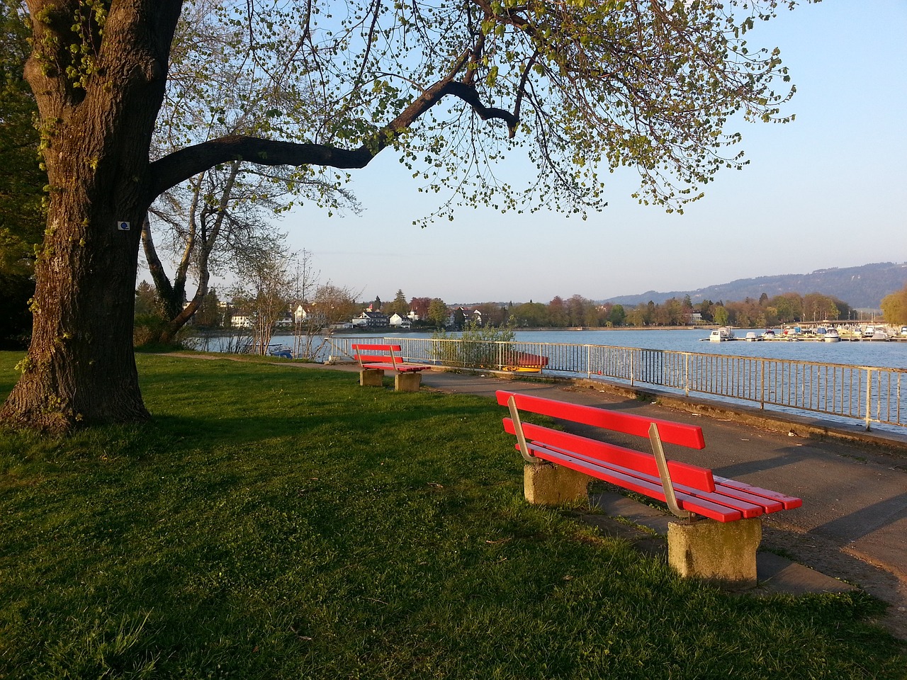 但湖人队困 但湖人队困