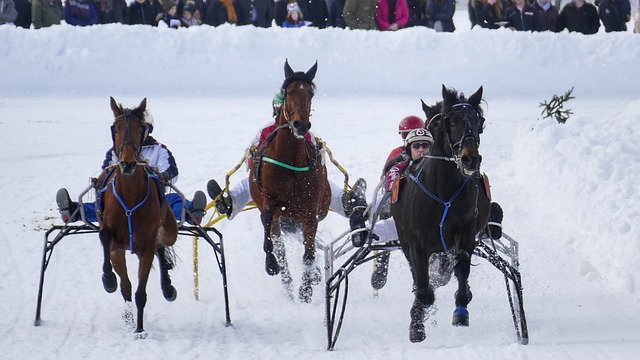 对拜仁并不 对拜仁并不