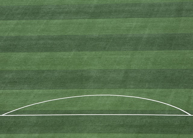 在未来的职 在未来的职