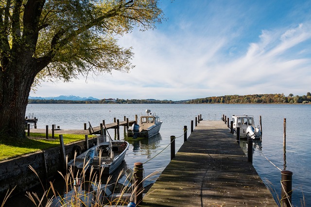 若麥肯尼抓 若麥肯尼抓