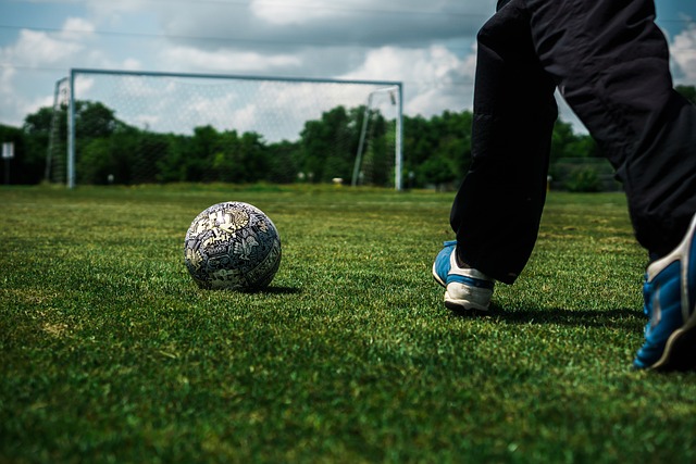 书写了一篇 书写了一篇