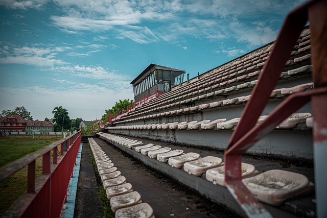 并且在运动 并且在运动
